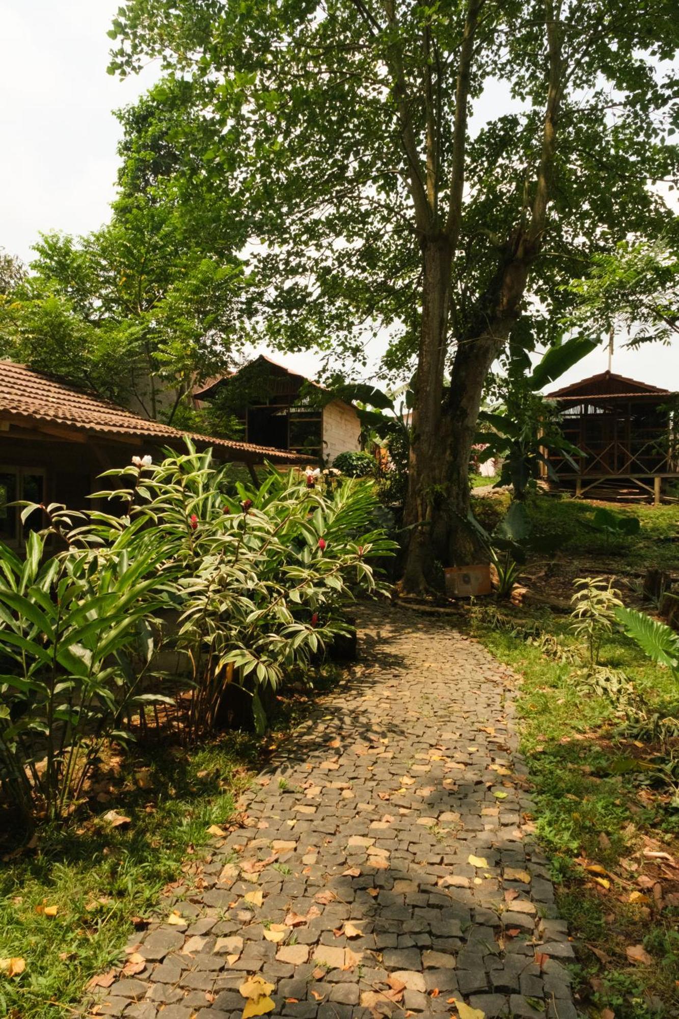 Roca Maria Helena-Principe Hotel Santo António Екстериор снимка